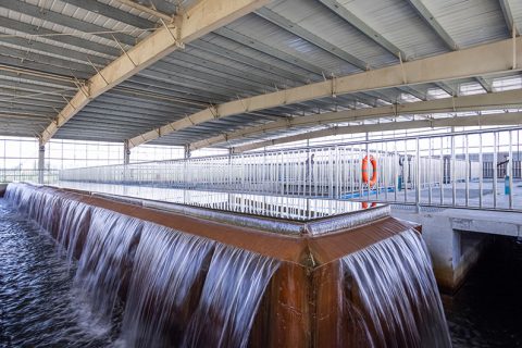 怎么保养多功效微型过滤机？？？？？？？？